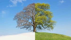 How Spring Impacts Alarm Systems and Installations