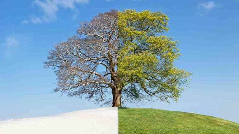 How Spring Impacts Alarm Systems and Installations